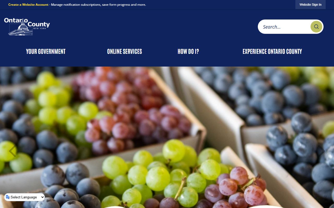 Ontario County marriage license information from the county clerk website